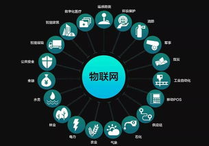 數字與數據經濟兩翼齊飛，助推物聯江西建設中的軟件開發