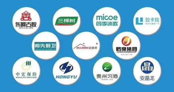 如何在眾多大數據營銷公司中慧眼識珠？選擇靠譜服務商的全面指南